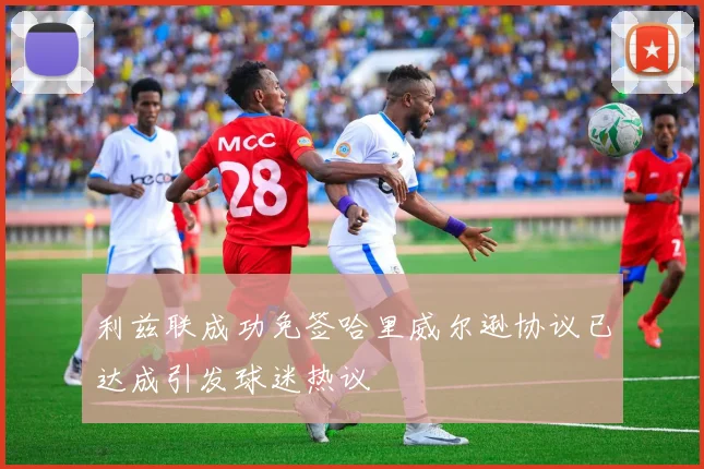 利兹联成功免签哈里威尔逊协议已达成引发球迷热议