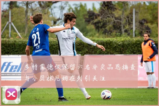 多特蒙德仅保留六名非卖品恩梅查与小贝林厄姆在列引关注