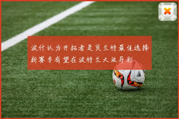 波什认为开拓者是莫兰特最佳选择新赛季有望在波特兰大放异彩